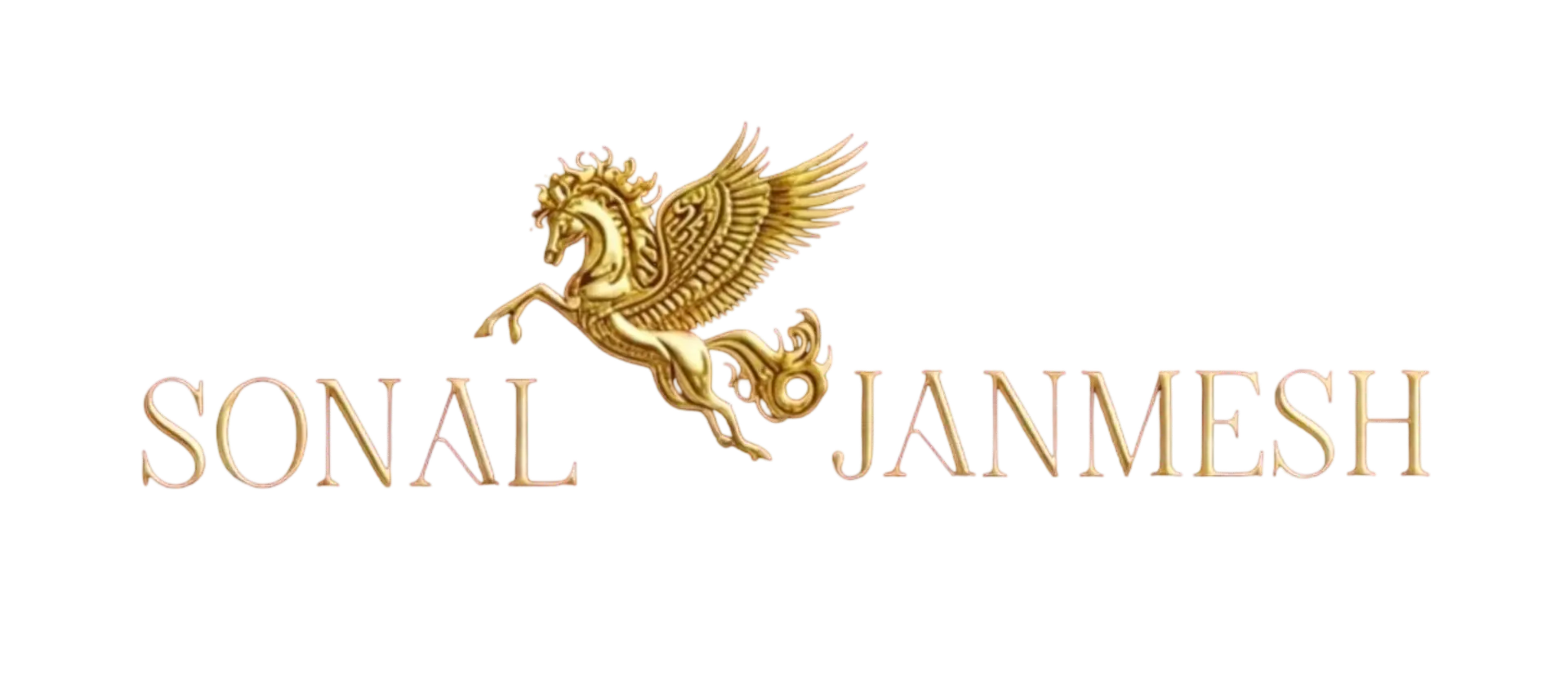 Sonal Janmesh Atelier